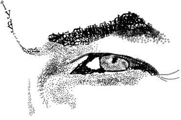 Original Bob Dylan Type Portrait
